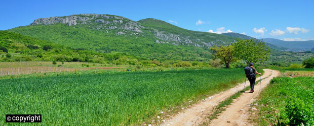 Медитеранска шетња над клисуром Нишаве